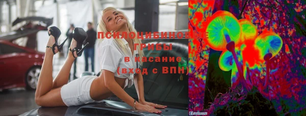 индика Абаза