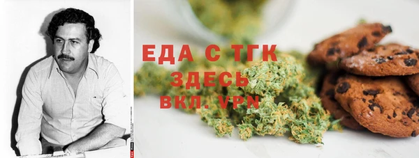 индика Абаза