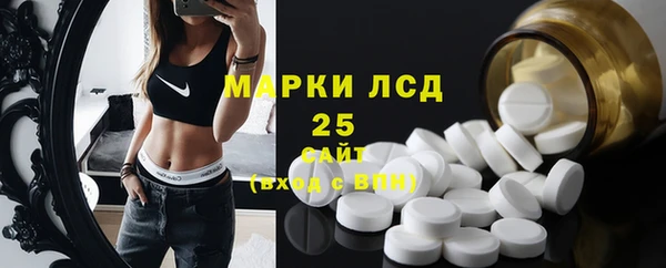 индика Абаза