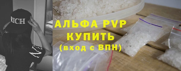 индика Абаза