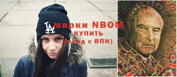 индика Абаза