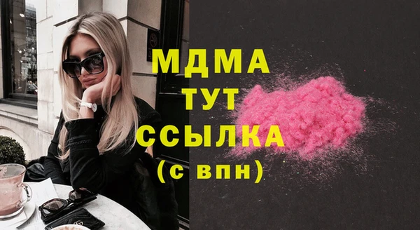 индика Абаза