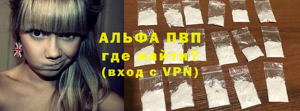 индика Абаза
