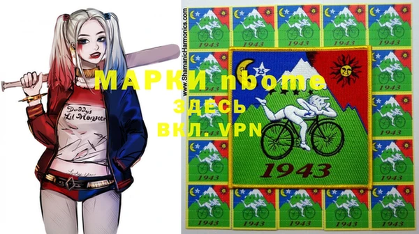 индика Абаза