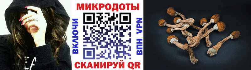 Псилоцибиновые грибы GOLDEN TEACHER Кашира